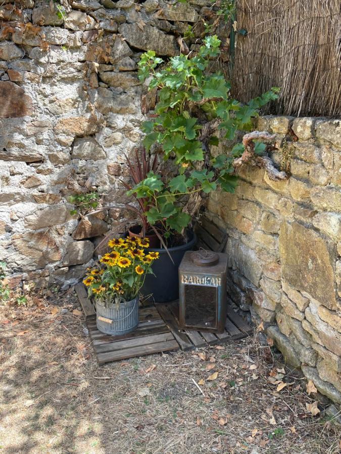 Le Patio, Coeur De Ville Avec Garage Et Jardin Vannes Exterior foto